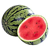 Piardino Wassermelone (Citrullus lanatus, Topfgröße: 14 cm) | BAUHAUS