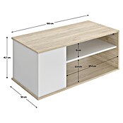 Dekit Bari Mesa de centro (L x An x Al: 50 x 100 x 41,7 cm, Natural/Blanco) | BAUHAUS