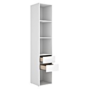 Dekit Mueble vestidor Suit (L x An x Al: 45 x 45 x 204,5 cm, Blanco/Natural, Trasera reversible) | BAUHAUS