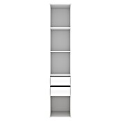 Dekit Mueble vestidor Suit (L x An x Al: 45 x 45 x 204,5 cm, Blanco/Natural, Trasera reversible) | BAUHAUS