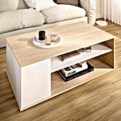 Dekit Bari Mesa de centro (L x An x Al: 50 x 100 x 41,7 cm, Natural/Blanco) | BAUHAUS