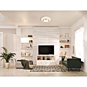 Globo LED-Deckenleuchte rund Candida (18 W, Ø x H: 34 mm x 8 cm, Weiß/Klar, Warmweiß) | BAUHAUS