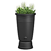 Elho Green Basics Regenton Plus (110 l, Zwart) | BAUHAUS
