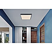Globo LED panel Doro  (24 W, D x Š x V: 450 x 450 x 75 mm, Siva, Topla bijela) | BAUHAUS