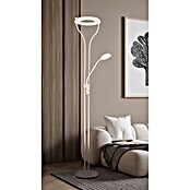 Globo LED stajaća svjetiljka Ebro  (20 W, Visina: 1.940 mm, Bež) | BAUHAUS