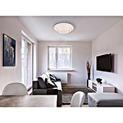 Globo Plafón LED Magnifique (Diámetro: 49 cm, 30 W) | BAUHAUS