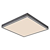 Globo LED panel Doro  (24 W, D x Š x V: 450 x 450 x 75 mm, Siva, Topla bijela) | BAUHAUS