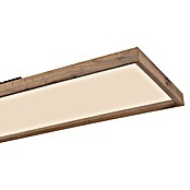 Globo LED panel Cinderella  (36 W, Smeđa) | BAUHAUS