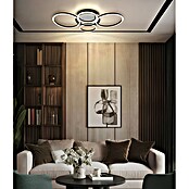 Globo LED stropna svjetiljka Alvis  (D x Š x V: 722 x 517 x 100 mm, Crna, Neutralno bijelo) | BAUHAUS