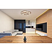 Globo LED stropna svjetiljka Jacks  (D x Š x V: 580 x 500 x 100 mm, Smeđa) | BAUHAUS