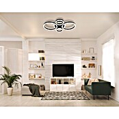 Globo LED stropna svjetiljka  (50 W, D x Š x V: 530 x 355 x 61 mm, Crna) | BAUHAUS