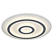 Globo Okrugla stropna LED svjetiljka Jayden  (40 W, Ø x V: 45 x 5,5 cm, Bijela, Bijela) | BAUHAUS