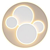 Globo Okrugla stropna LED svjetiljka Monty  (40 W, Topla bijela) | BAUHAUS