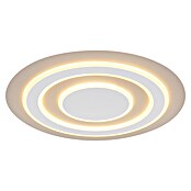 Globo Okrugla stropna LED svjetiljka Jayden  (40 W, Ø x V: 48 x 4,3 cm, Bijela, Bijela, Topla bijela) | BAUHAUS