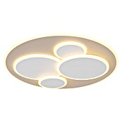 Globo Okrugla stropna LED svjetiljka Monty  (40 W, Topla bijela) | BAUHAUS