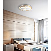 Globo Okrugla stropna LED svjetiljka Monty  (40 W, Topla bijela) | BAUHAUS