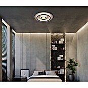 Globo Okrugla stropna LED svjetiljka Jayden  (40 W, Ø x V: 45 x 5,5 cm, Crna) | BAUHAUS