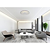 Globo Okrugla stropna LED svjetiljka Heda  (40 W, Ø x V: 49 x 7,5 cm, Srebrna, Topla bijela) | BAUHAUS