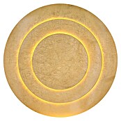 Globo Okrugla stropna LED svjetiljka Heda  (40 W, Ø x V: 49 x 4,7 cm, Zlatna) | BAUHAUS