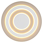 Globo Okrugla stropna LED svjetiljka Jayden  (40 W, Ø x V: 48 x 4,3 cm, Bijela, Bijela, Topla bijela) | BAUHAUS