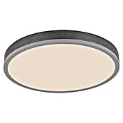 Globo LED panel Doro  (24 W, Siva) | BAUHAUS