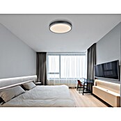 Globo LED panel Doro  (24 W, Siva) | BAUHAUS