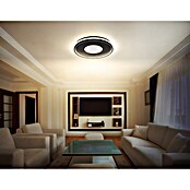 Globo Okrugla stropna LED svjetiljka Shirley  (40 W, Ø x V: 50,5 x 6,5 cm, Crna) | BAUHAUS