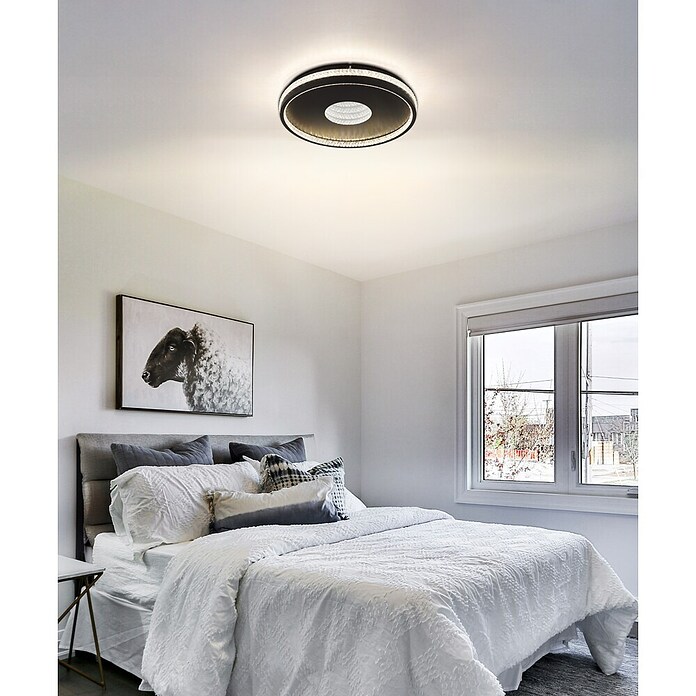 Globo Okrugla stropna LED svjetiljka Shirley  (30 W, Ø x V: 41 x 6,5 cm, Crna) | BAUHAUS