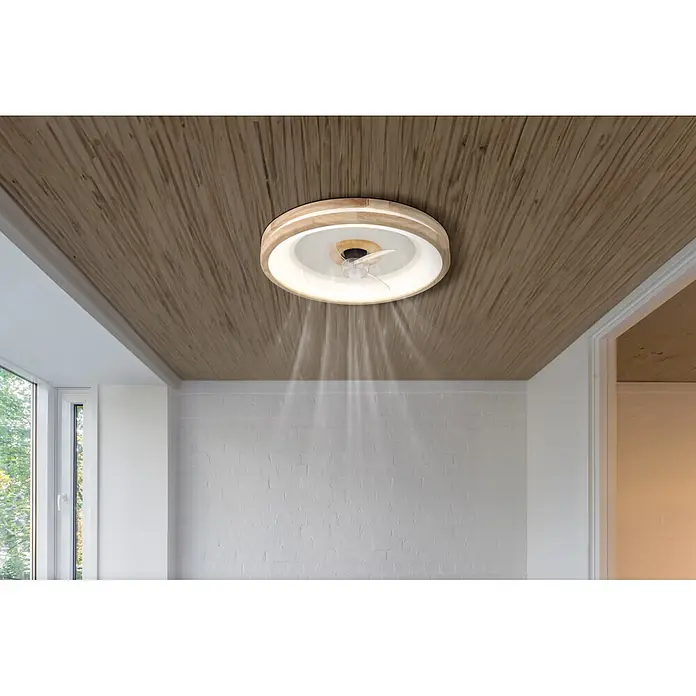 Globo Deckenventilator Gatian - 30 W, Durchmesser: 500 mm, Kautschuk - Runde Deckenventilatorleuchte mit Holzrahmen und weißem Inneren, an Holzdecke montiert, leuchtet und bläst Luft nach unten.