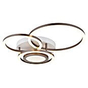 Globo LED stropna svjetiljka Randell  (40 W, D x Š x V: 490 x 390 x 100 mm, Smeđa) | BAUHAUS