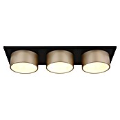 Globo Stropna svjetiljka Raymond  (24 W, D x Š x V: 580 x 200 x 110 mm, Boja šampanjca, Boja svjetla: Topla bijela) | BAUHAUS