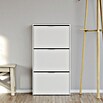Schuhschrank (L x B x H: 22 x 60 x 113 cm, Weiß)