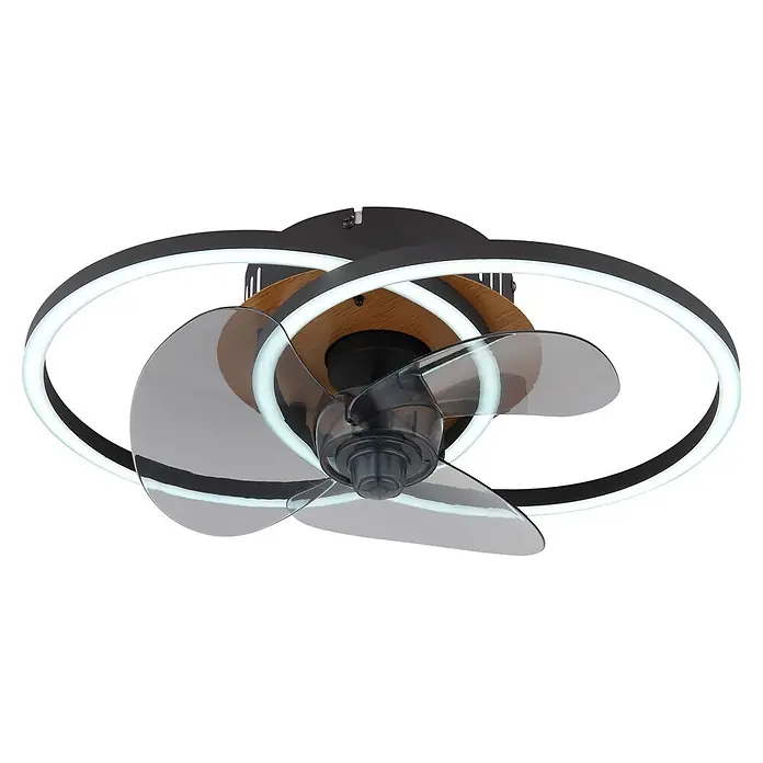 Globo Ventilador de techo Karen - 28 mm - Ventilador de techo negro moderno con luces LED de anillo integradas y aspas transparentes, con un detalle de madera.