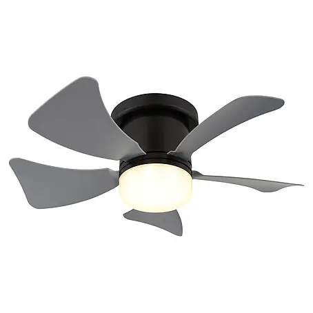 Globo  Ventilador de techo Hines