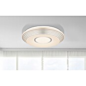 Globo LED okrogla stropna svetilka  (40 W, Ø x V: 50 x 8,5 cm, Bela) | 3016 - Deckenleuchte | CACB - Deckenleuchten | CAC - Indoorleuchten | CA - Beleuchtung | C - Elektro | BAUHAUS
