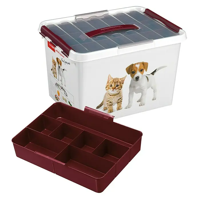 Sunware Aufbewahrungsbox Q-Line - L x B x H: 40 x 30 x 26 cm, Kunststoff, Mehrfarbig - Eine Sunware Q-Line Aufbewahrungsbox mit transparentem Deckel, burgunderfarbenen Akzenten und einem burgunderfarbenen Organizer-Einsatz.