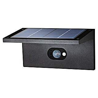 Starlux Aplique solar para exterior Como (2,5 W, Negro, IP44)
