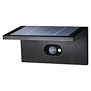 Starlux Aplique solar LED para exterior Como (Detector de movimiento, 2,5 W, Blanco neutro, Negro)