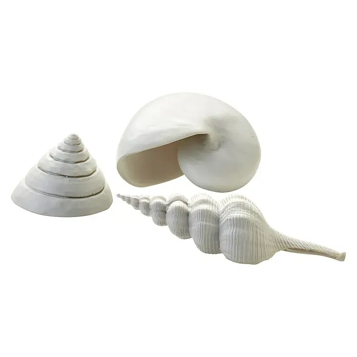 biOrb Deko-Set für Aquarien Stone Garden - 16 -tlg., Grün, Passend für: Aquarien ab 30 l - Drei dekorative, weiße Muscheln in verschiedenen Formen, perfekt für maritime Dekorationen.