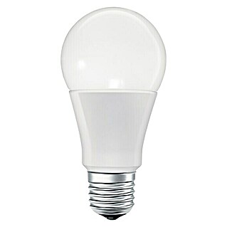 Ledvance LED-Leuchtmittel CLA 60 (9 W, Dimmbar)