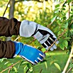 Gardol Stulpenhandschuh (Konfektionsgröße: 10, Blau)
