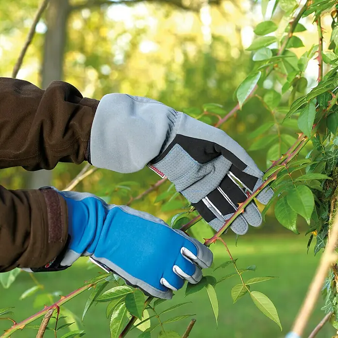 Gardol Arbeitshandschuhe - Blau, 10 - Hände in Gartenhandschuhen schneiden Rosenstöcke. Die Handschuhe sind grau, schwarz und blau und schützen vor Dornen.