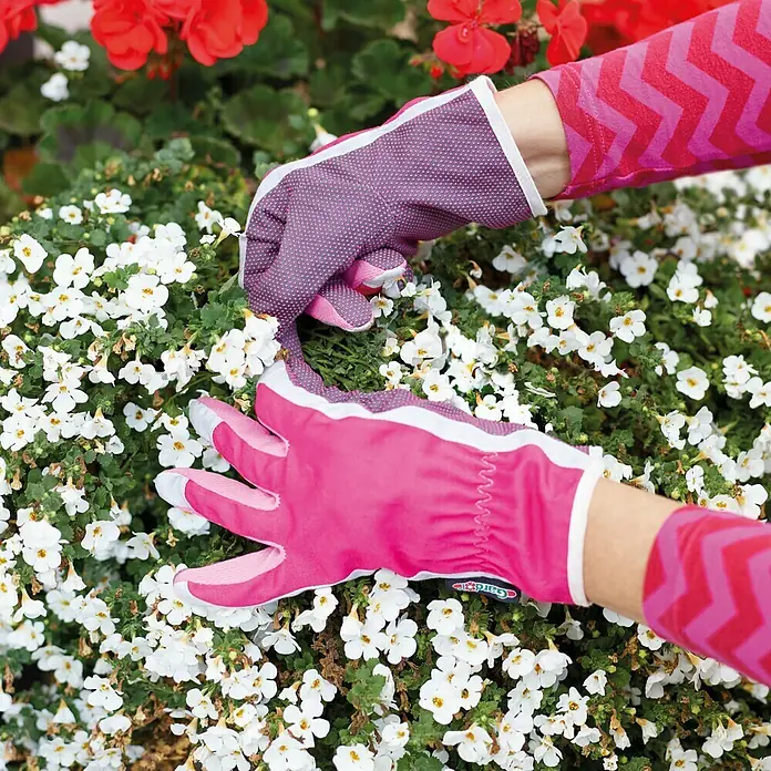 Gardol Gartenhandschuhe Pflege - 8, Pink - Nahaufnahme von Händen, die Gartenarbeit mit pinkfarbenen Gartenhandschuhen verrichten, vor einem Beet mit weißen Blumen und roten Geranien.