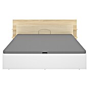 Dekit Cabecero de cama Tori (L x An: 209,2 x 181,2 cm, Roble claro) | BAUHAUS