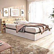 Dekit Cabecero de cama Tori (L x An: 209,2 x 181,2 cm, Roble claro) | BAUHAUS