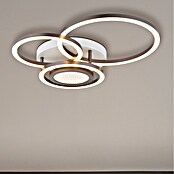 Globo LED stropna svjetiljka Randell  (40 W, D x Š x V: 490 x 390 x 100 mm, Smeđa) | BAUHAUS