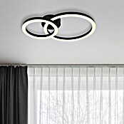 Globo LED stropna svetilka Adda  (15 W, Do x Š x V: 42 x 30 x 7 cm, Črna) | 3016 - Deckenleuchte | CACB - Deckenleuchten | CAC - Indoorleuchten | CA - Beleuchtung | C - Elektro | BAUHAUS