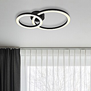 Globo LED stropna svetilka Adda (15 W, Do x Š x V: 42 x 30 x 7 cm, Črna)