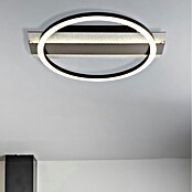 Globo LED stropna svjetiljka Norberto  (24 W, D x Š x V: 342 x 300 x 68 mm, Crna) | BAUHAUS
