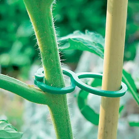 Nortene  Clips Tomatoclips